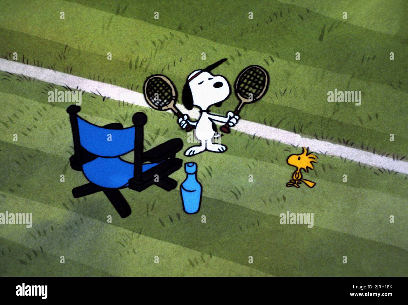 SNOOPY, WOODSTOCK, BON VOYAGE CHARLIE BROWN (AND DON'T COME BACK!!), 1980 Stock Photo Alamy