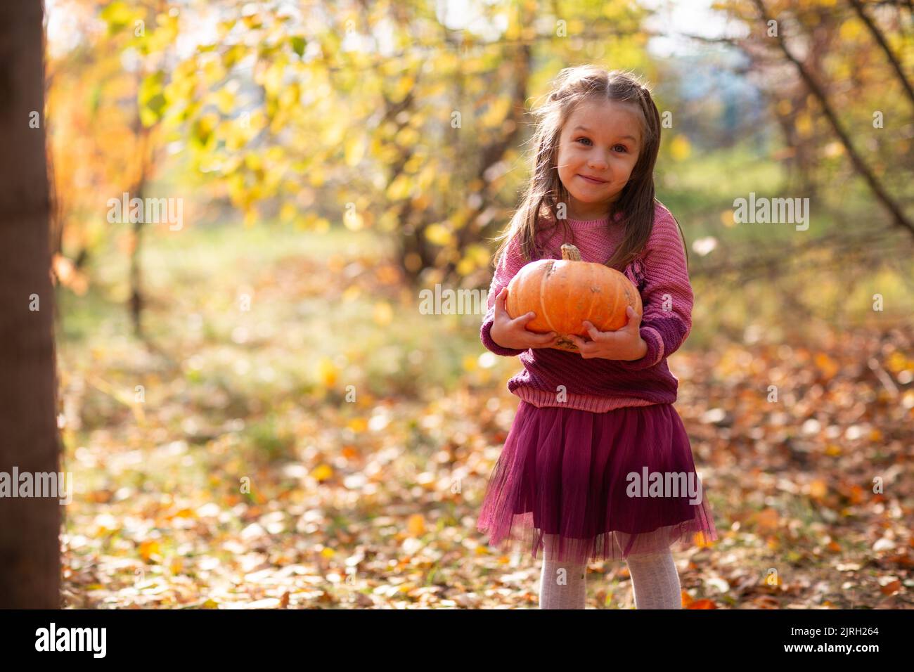 Little baby girl in autumn park walking Stock Photo - Alamy