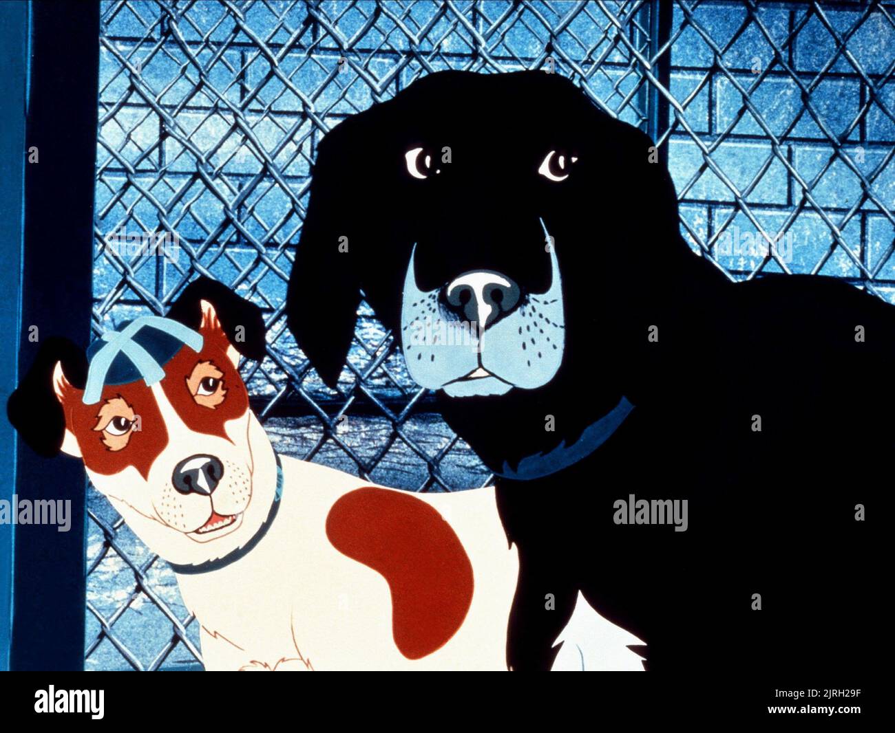 SNITTER, ROWF, THE PLAGUE DOGS, 1982 Stock Photo