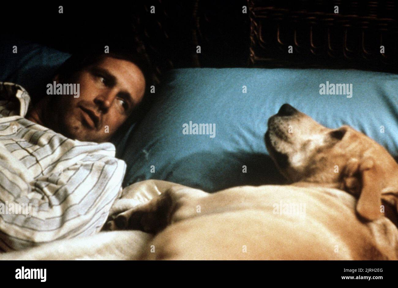 Chevy chase dog funny farm hires stock photography and images Alamy