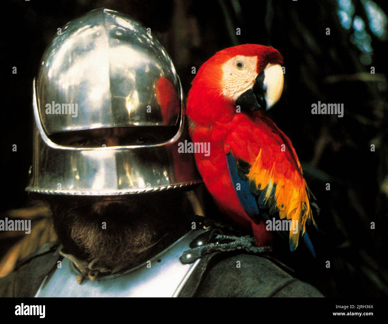 OMERO ANTONUTTI, PARROT, EL DORADO, 1988 Stock Photo