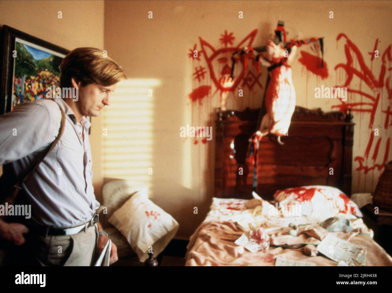 BILL PULLMAN, THE SERPENT AND THE RAINBOW, 1988 Stock Photo