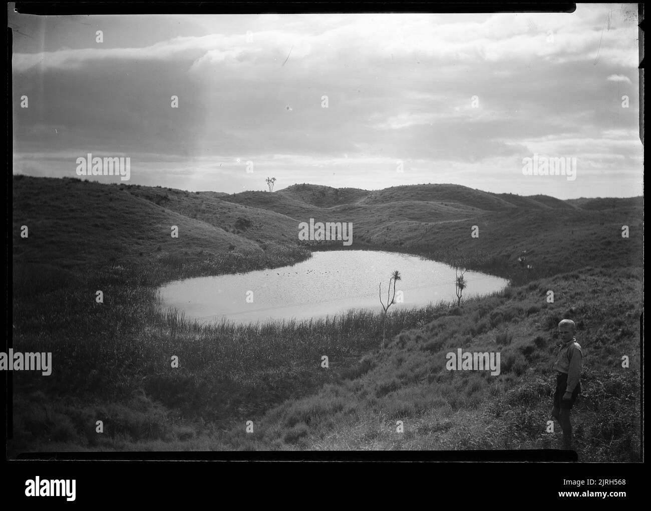 Forest lakes otaki forest lakes otaki hires stock photography and