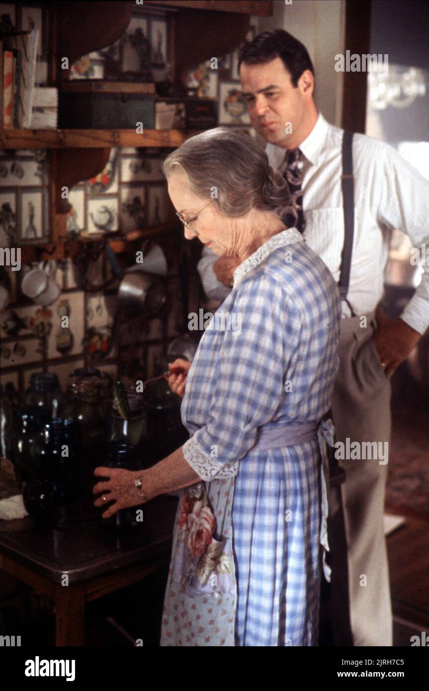JESSICA TANDY, DAN AYKROYD, DRIVING MISS DAISY, 1989 Stock Photo
