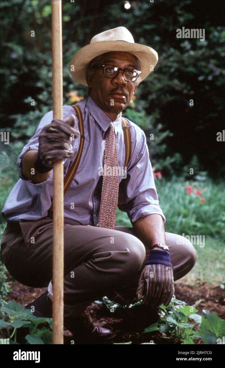 MORGAN FREEMAN, DRIVING MISS DAISY, 1989 Stock Photo