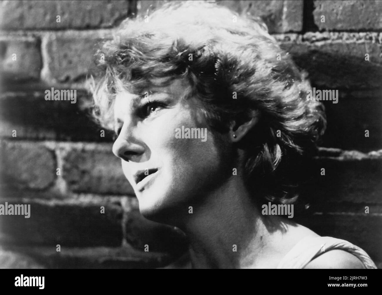 DIANA SCARWID, RUMBLE FISH, 1983 Stock Photo - Alamy