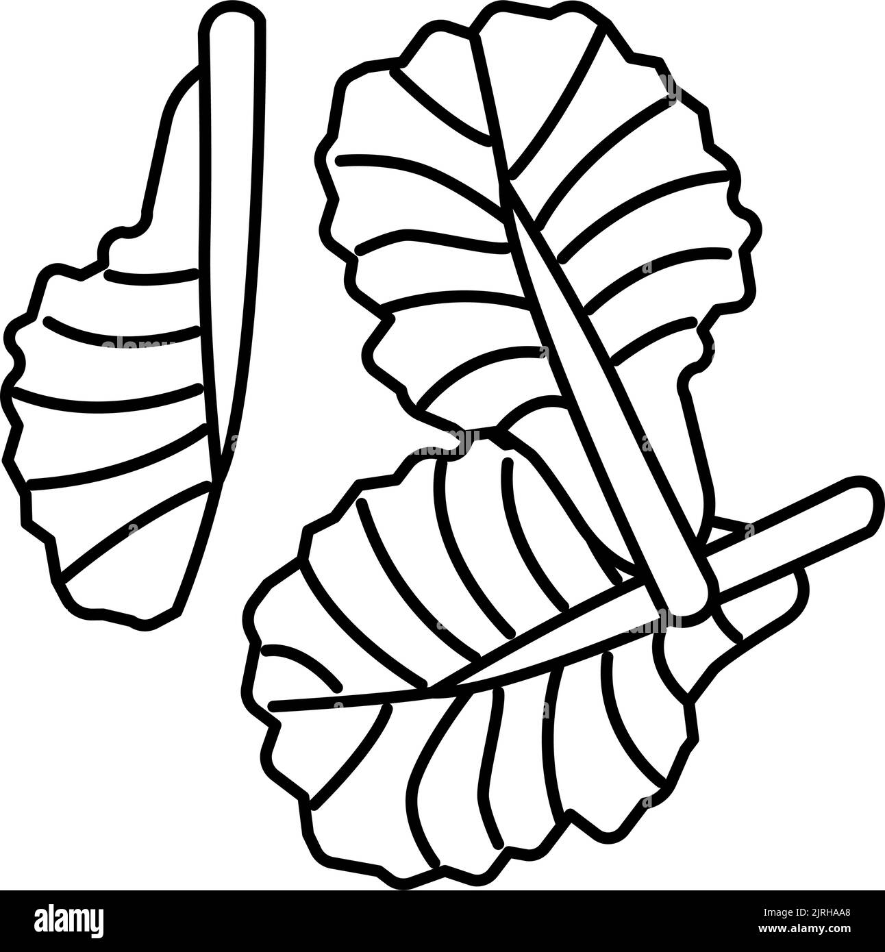 Sliced lettuce Black and White Stock Photos & Images - Alamy