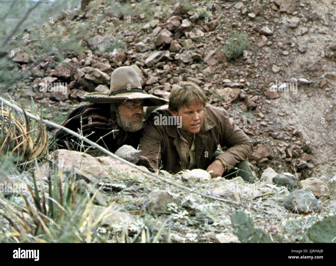 WILLIE NELSON, GARY BUSEY, BARBAROSA, 1982 Stock Photo - Alamy