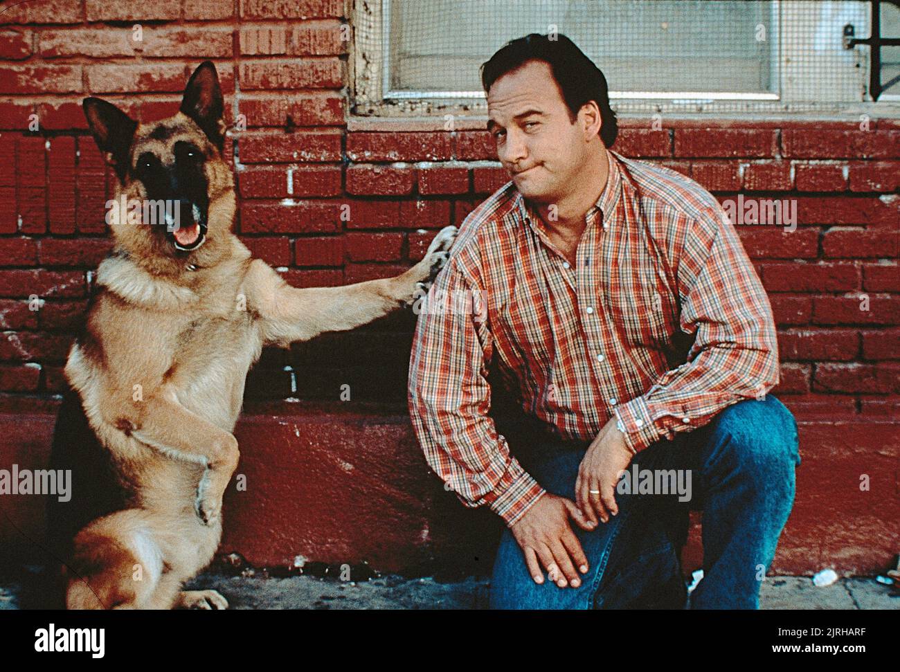 James belushi dog jerry lee hi-res stock photography and images - Alamy