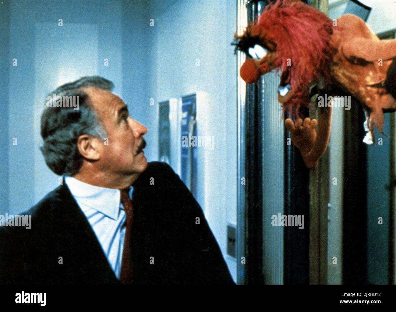 DABNEY COLEMAN, ANIMAL, THE MUPPETS TAKE MANHATTAN, 1984 Stock Photo