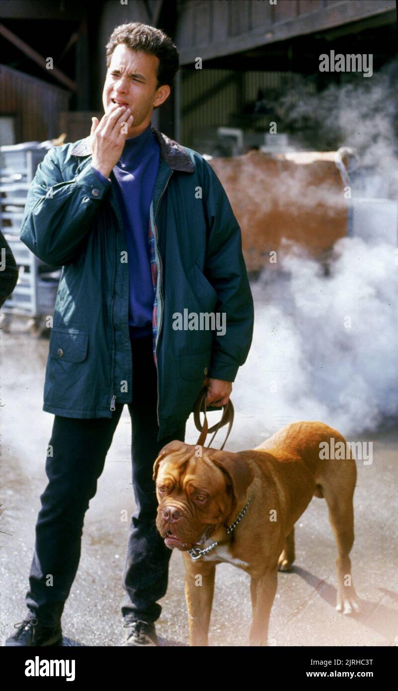TOM HANKS, DOG, TURNER and HOOCH, 1989 Stock Photo Alamy