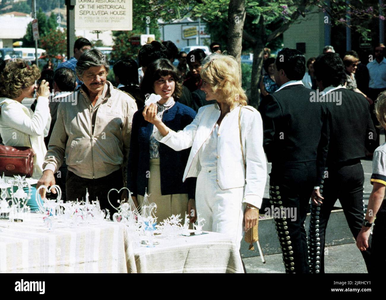 death wish 2 charles bronson