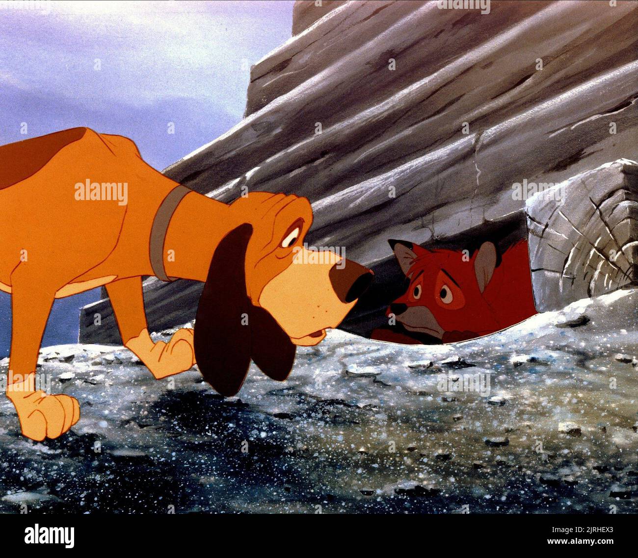 COPPER THE HOUND DOG, TODD THE FOX, THE FOX AND THE HOUND, 1981 Stock Photo Alamy
