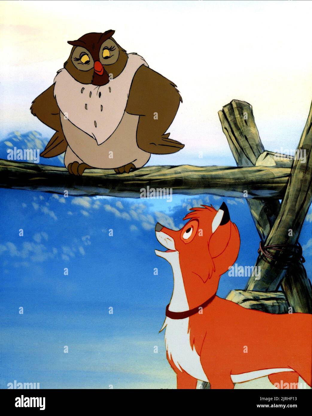 BIG MAMA THE OWL, TODD THE FOX, THE FOX AND THE HOUND, 1981 Stock Photo ...