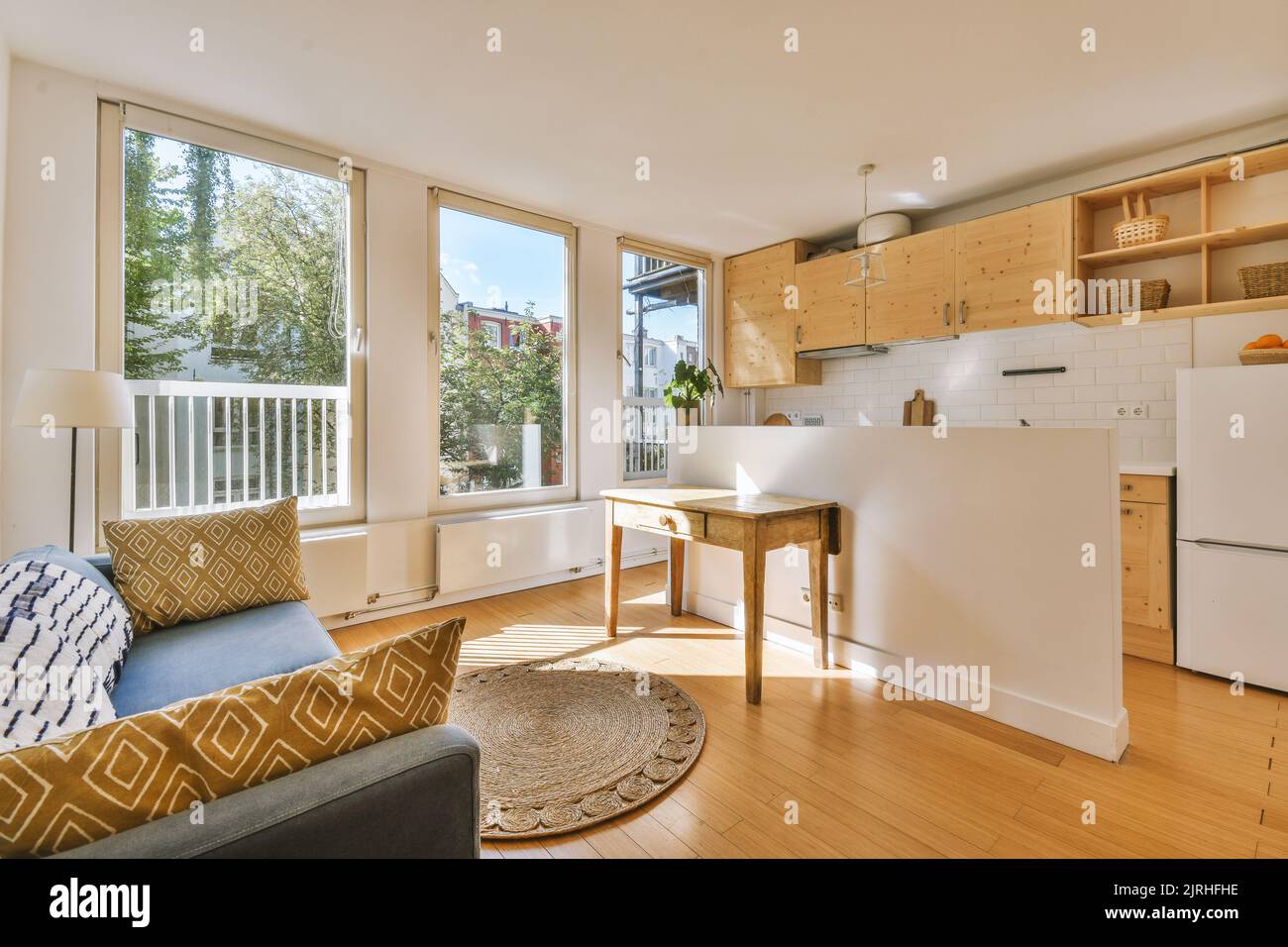 Studio apartment with white walls and open plan kitchen with sofa in