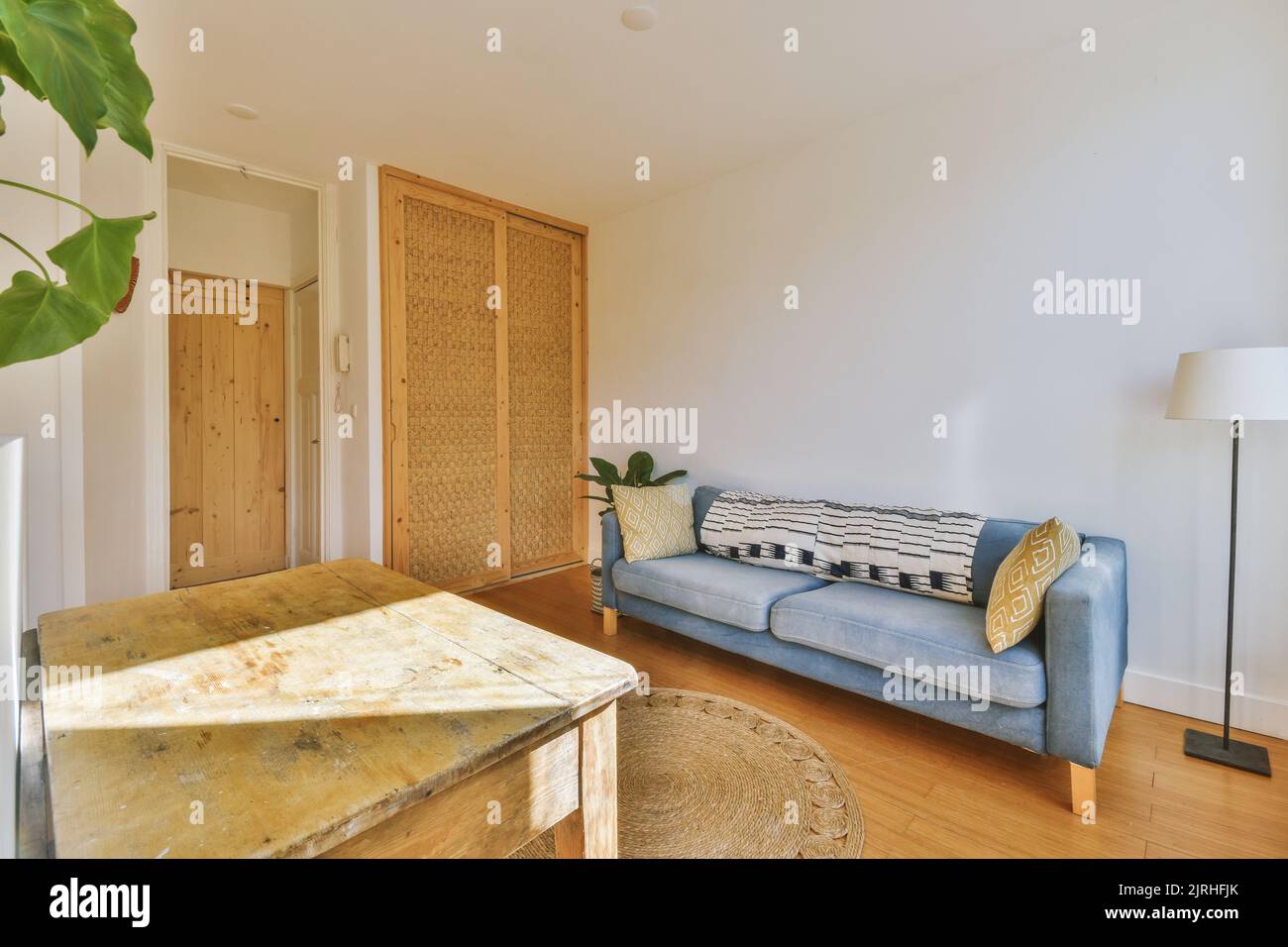 Studio apartment with white walls and open plan kitchen with sofa in