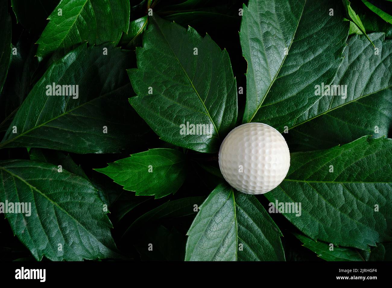 Golf ball background green foliage Stock Photo - Alamy