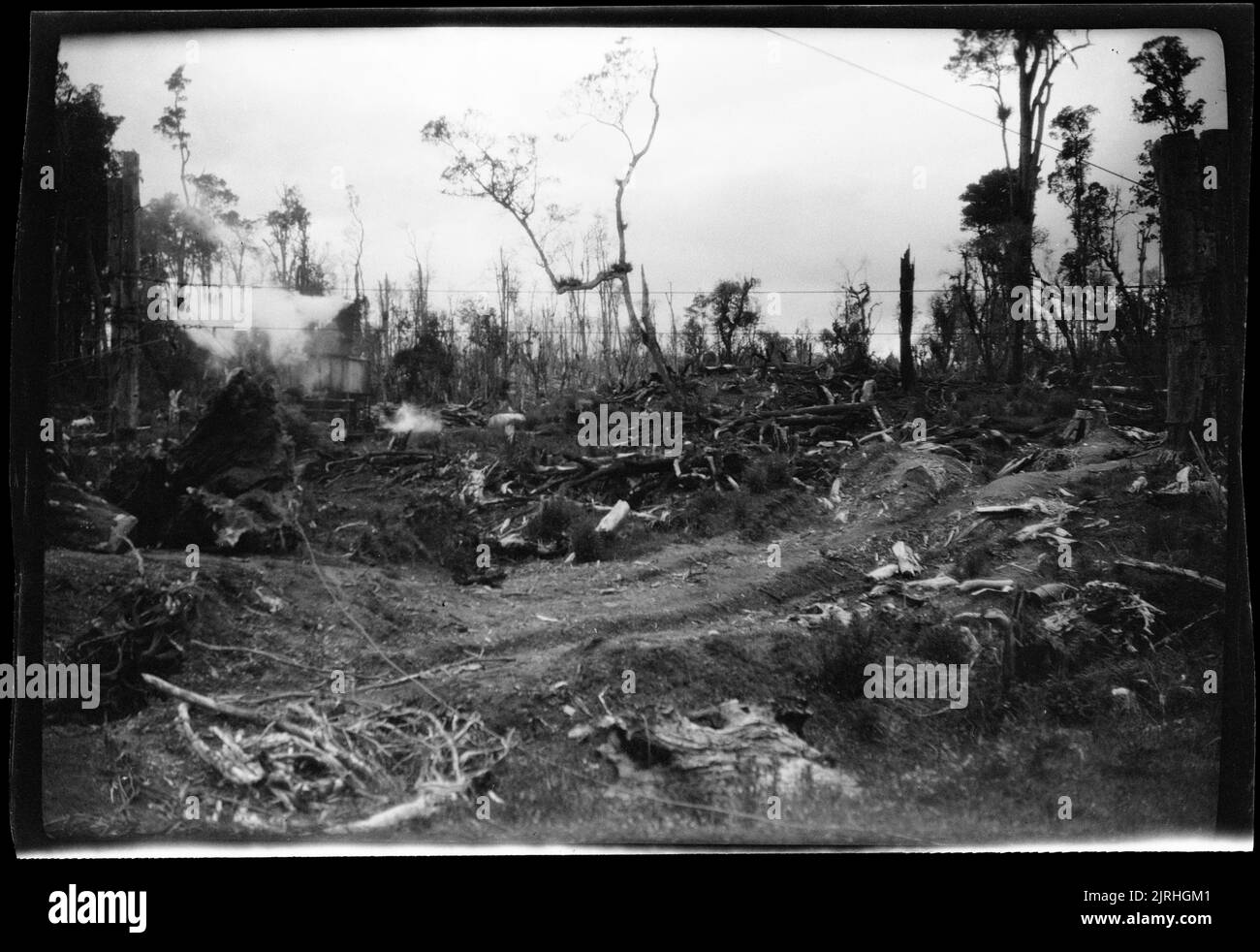 [North Island countryside], 1920s-1930s, North Island, by Roland Searle ...