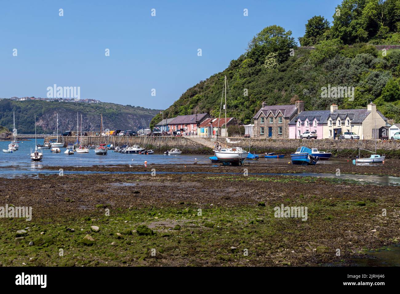 Boats in quay in village of Fishguard, Pembrokeshire, Wales, UK Stock Photo