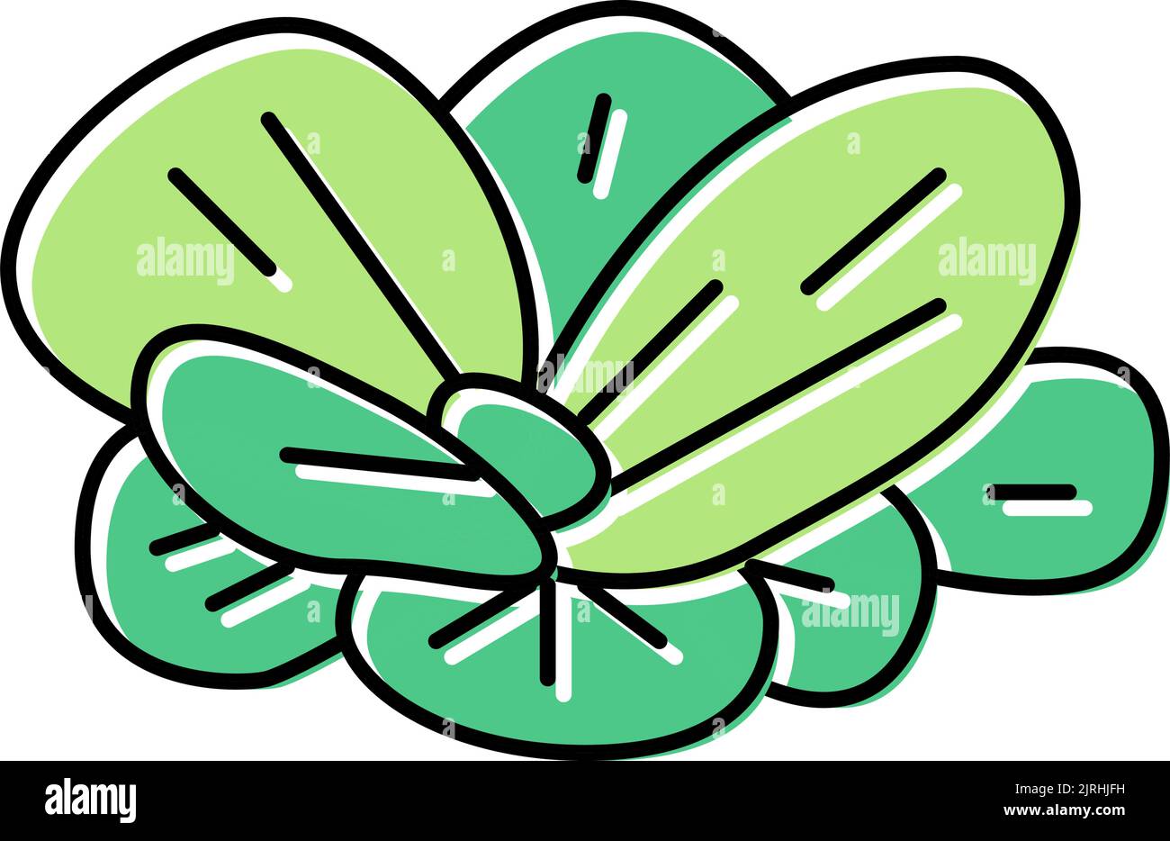 water lettuce color icon vector illustration Stock Vector