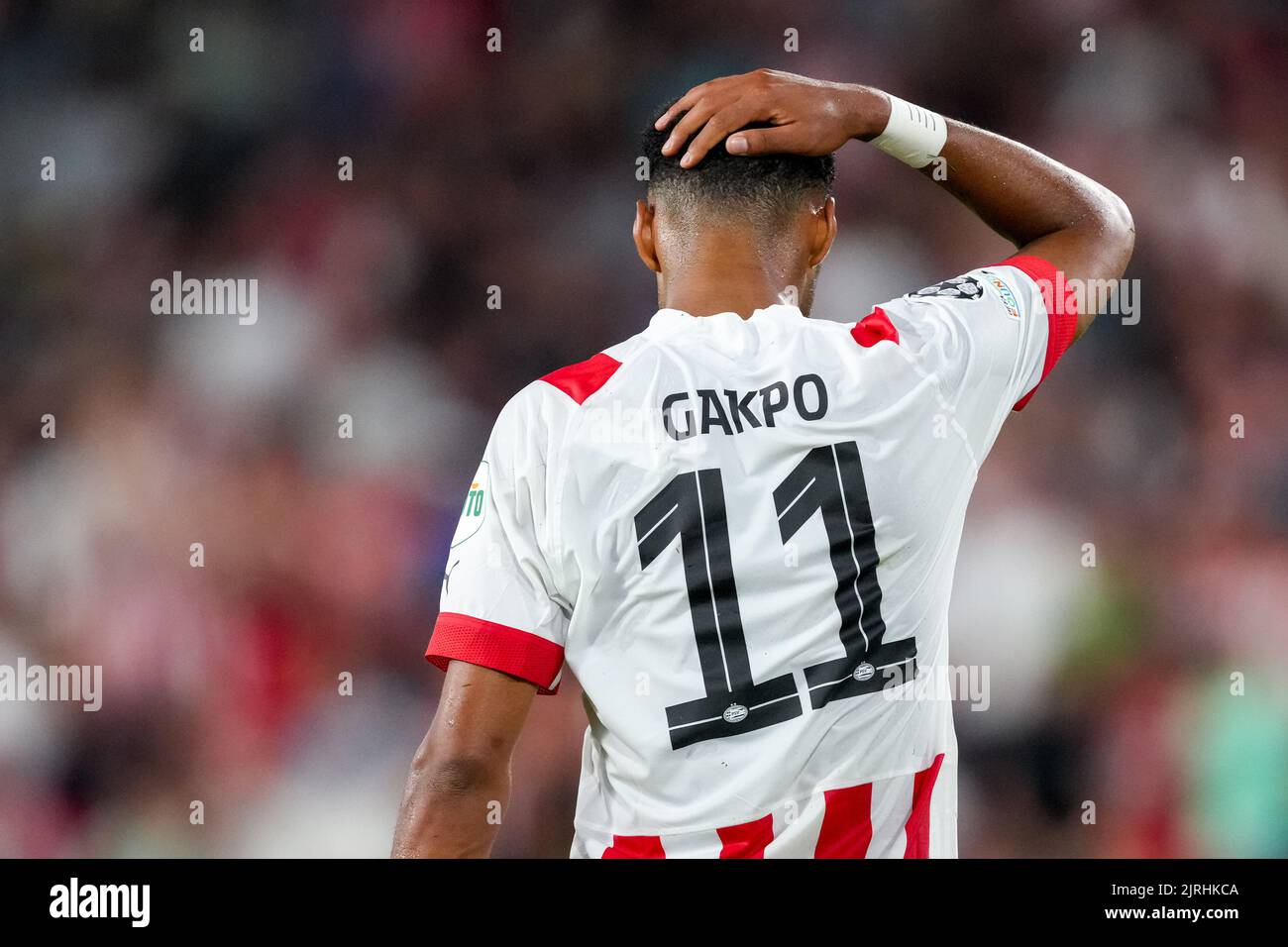 EINDHOVEN, NETHERLANDS - AUGUST 24: Cody Gakpo of PSV reacts during the UEFA Champions League Play-Off Second Leg match between PSV and Rangers at the Philips Stadion on August 24, 2022 in Eindhoven, Netherlands (Photo by Geert van Erven/Orange Pictures) Stock Photo
