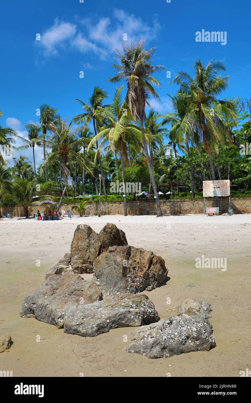 Tropical palm tree beach at Hua Hin, Thailand Stock Photo