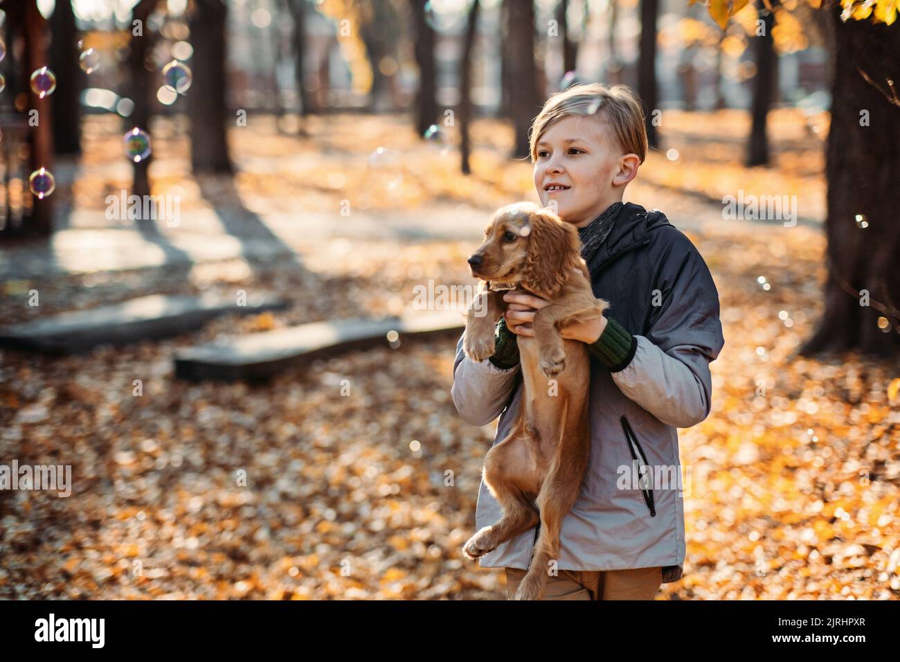 Family dog park teenager hires stock photography and images Alamy