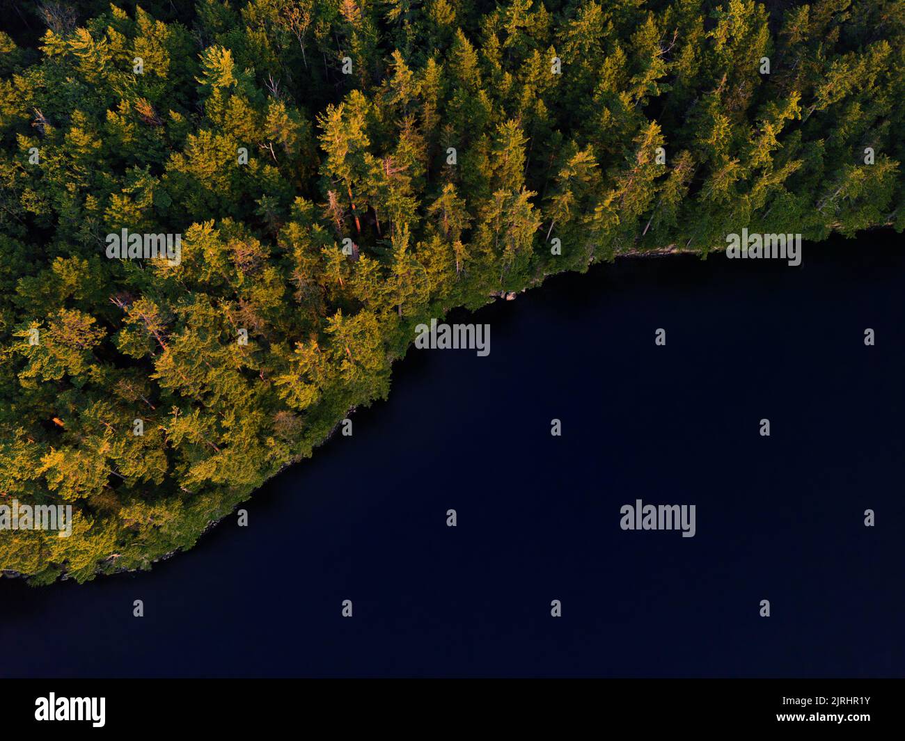 St Lake Liberty Maine Trees and Water Medium Closeup Shot Looking Down Stock Photo Alamy