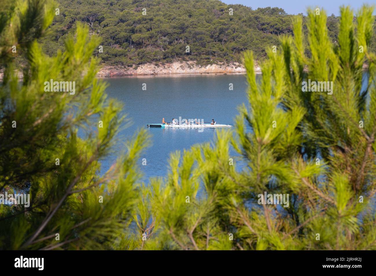 rowing team paddles on the tranquil sea Stock Photo Alamy