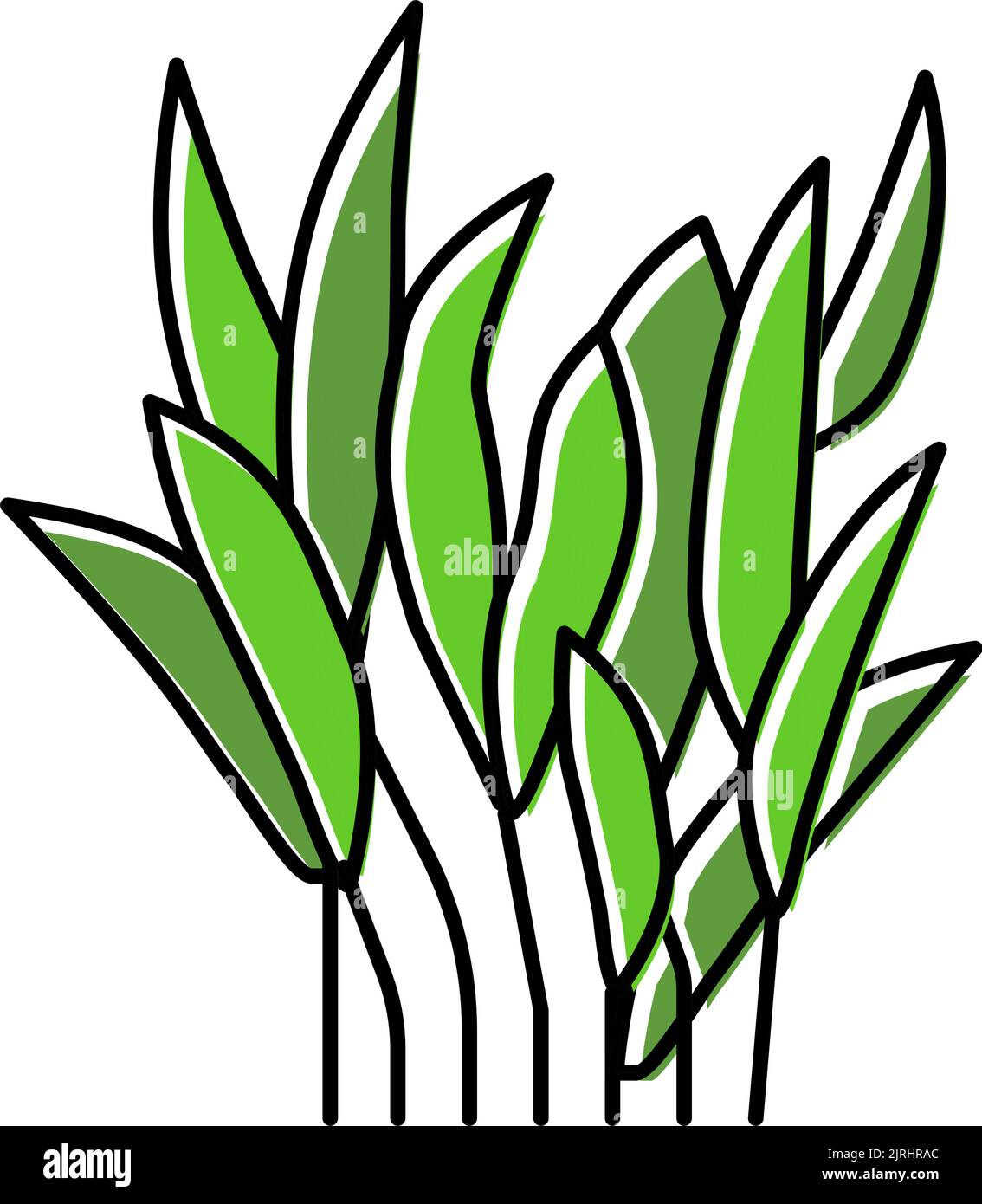 java fern color icon vector illustration Stock Vector