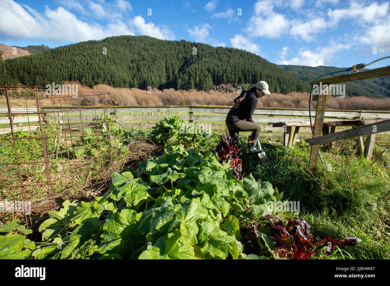 Te Paranui , a permaculture community near Picton, New Zealand Stock Photo