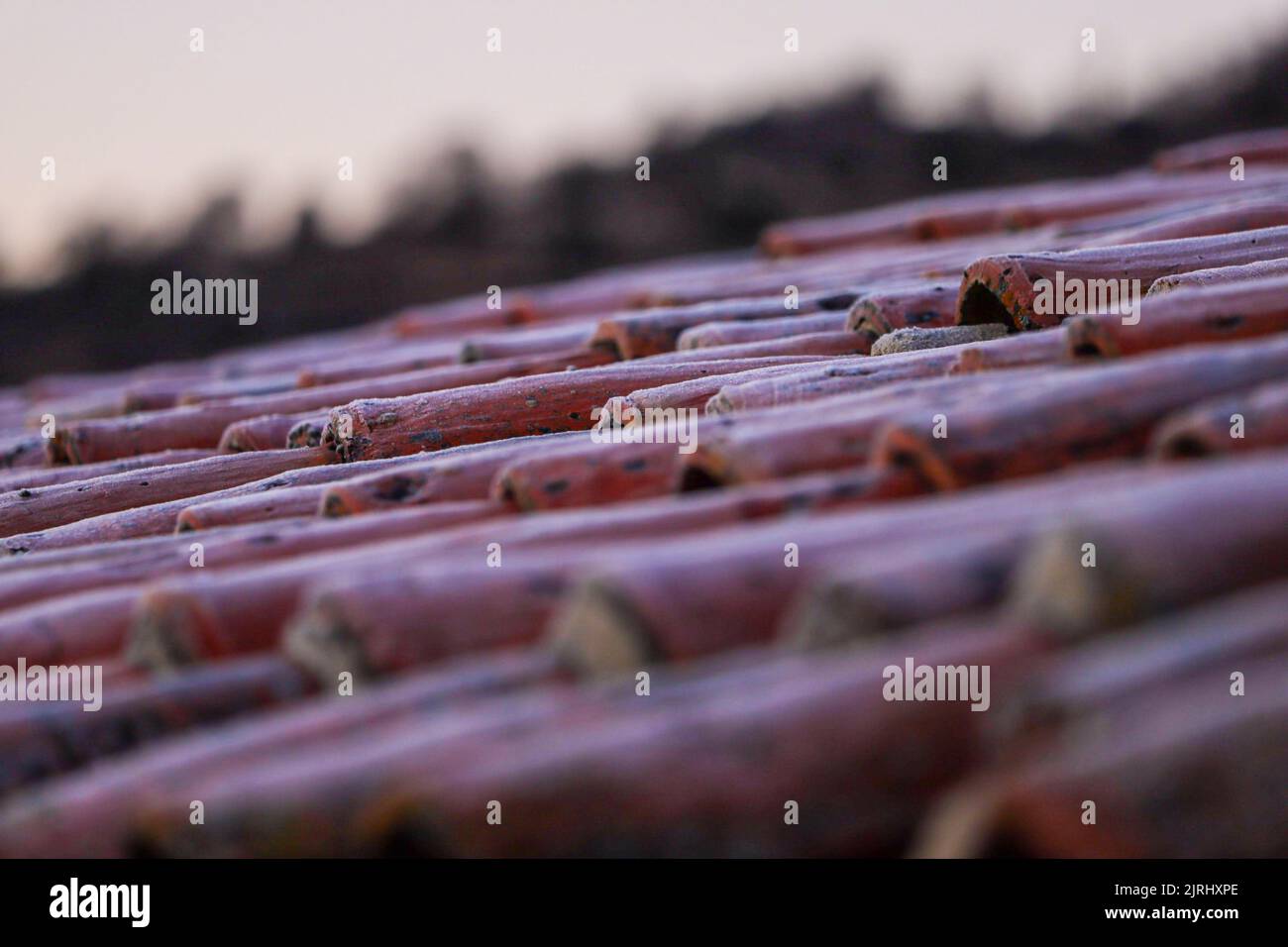 A closeup shot of reddish and orange tiles on an old house Stock Photo