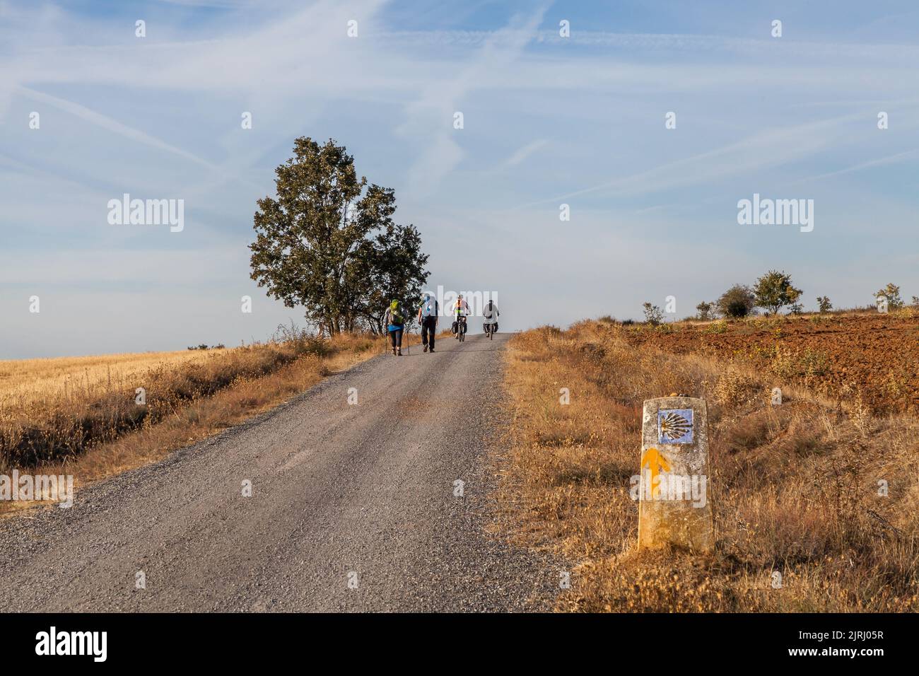 cyclists and walking pilgrims share the road to Santiago de Compostela outside Villar de Mazarife, Spain Stock Photo