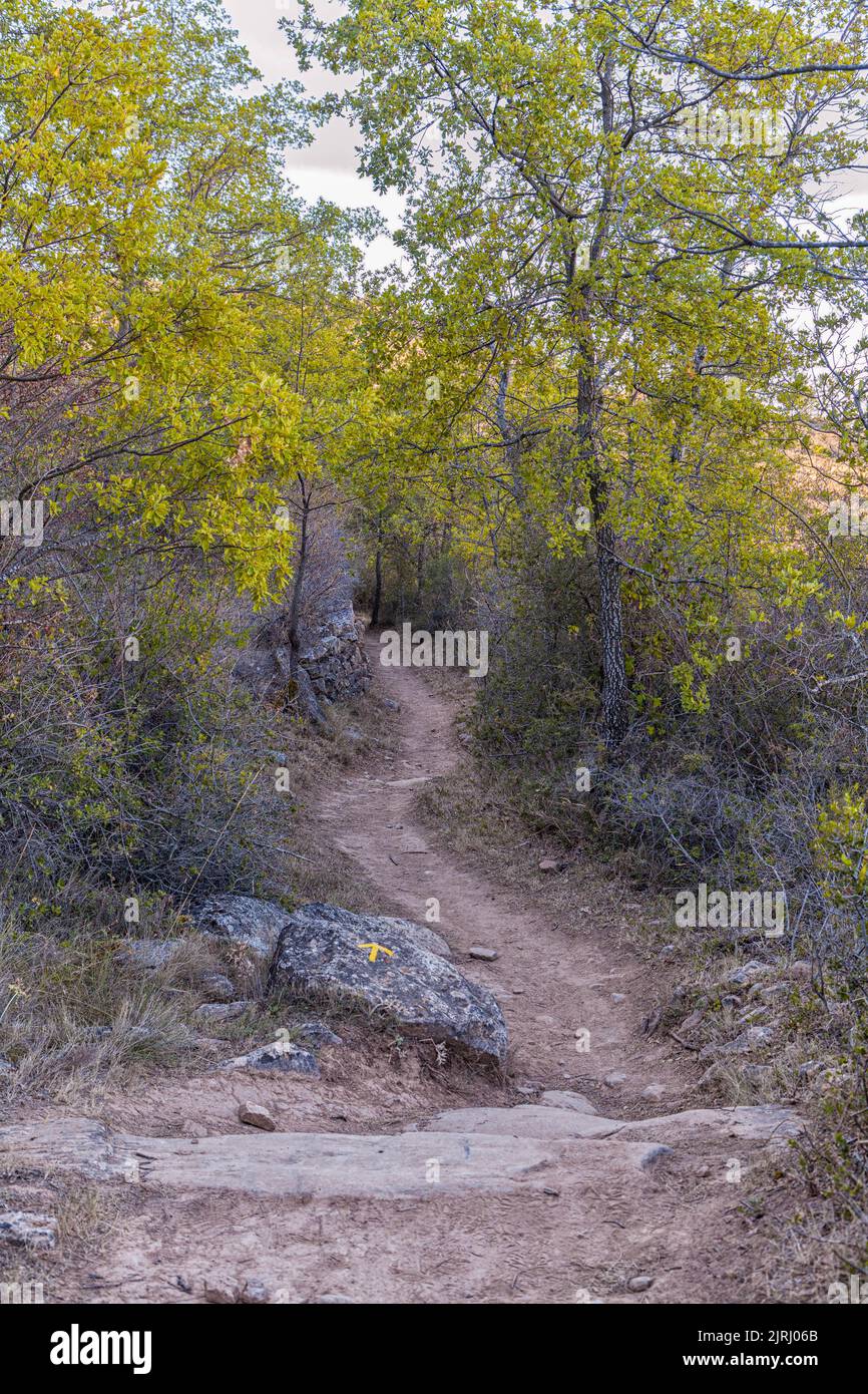 dirt path, and yellow arrow of the Camino to Santiago de Compostela near Villamayor de Monjardin Stock Photo