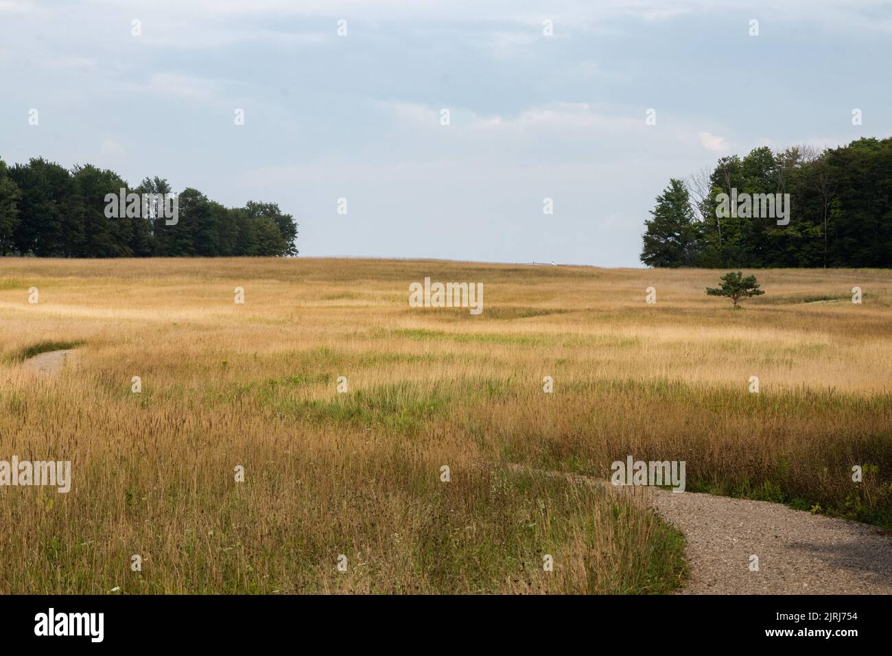 The golden horizon hi-res stock photography and images - Alamy