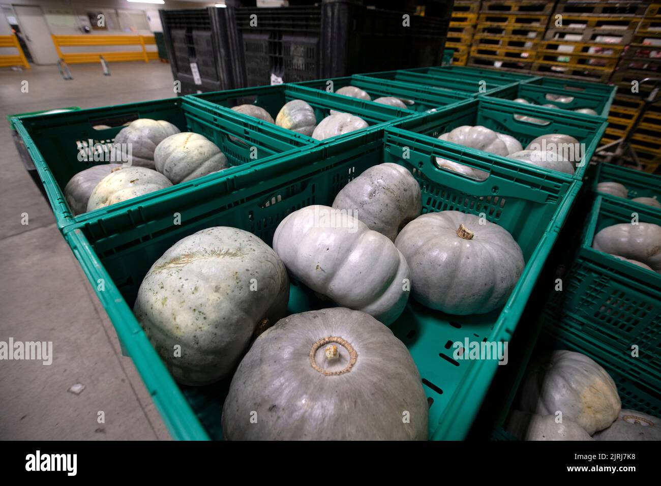 Homegrown new zealand hires stock photography and images Alamy