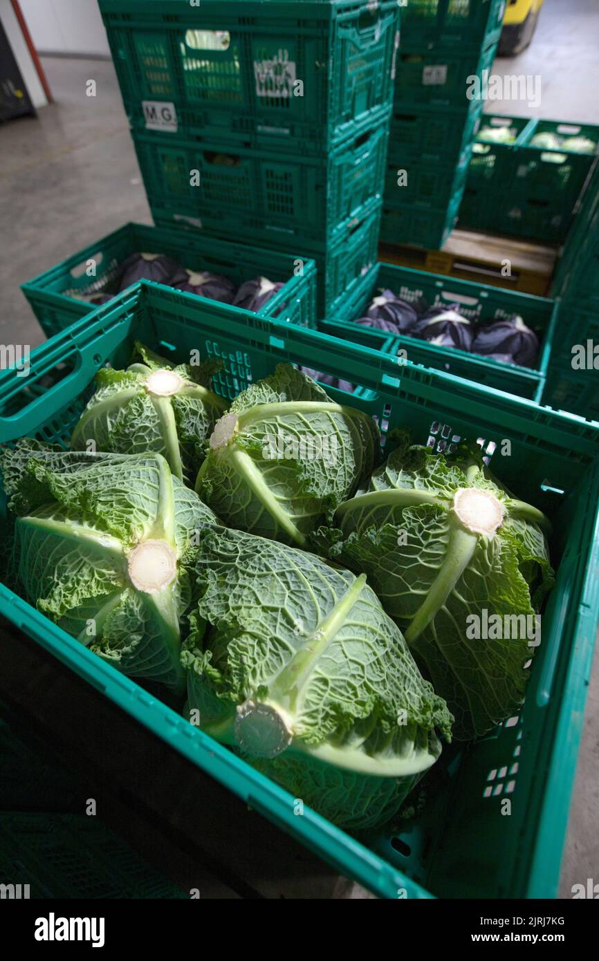 Homegrown new zealand hires stock photography and images Alamy