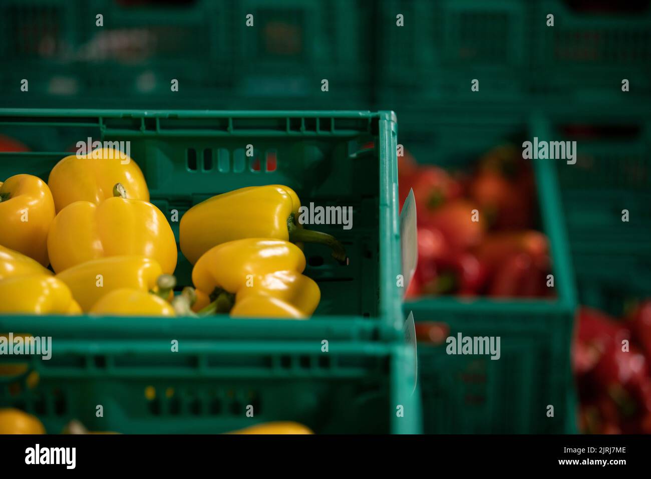 Fresh vegetables in a wholesaler in Nelson, New Zealand Stock Photo