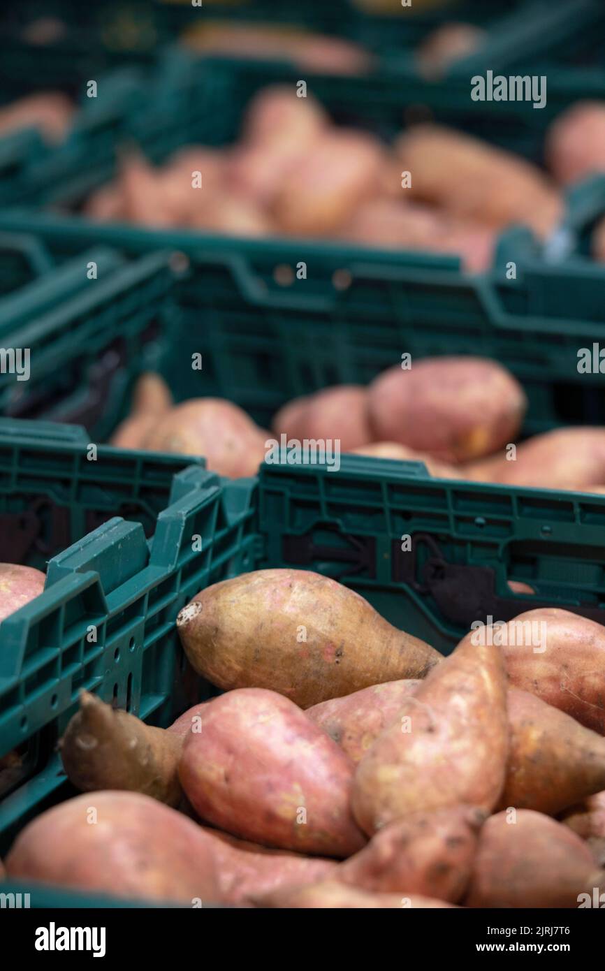 Homegrown new zealand hires stock photography and images Alamy