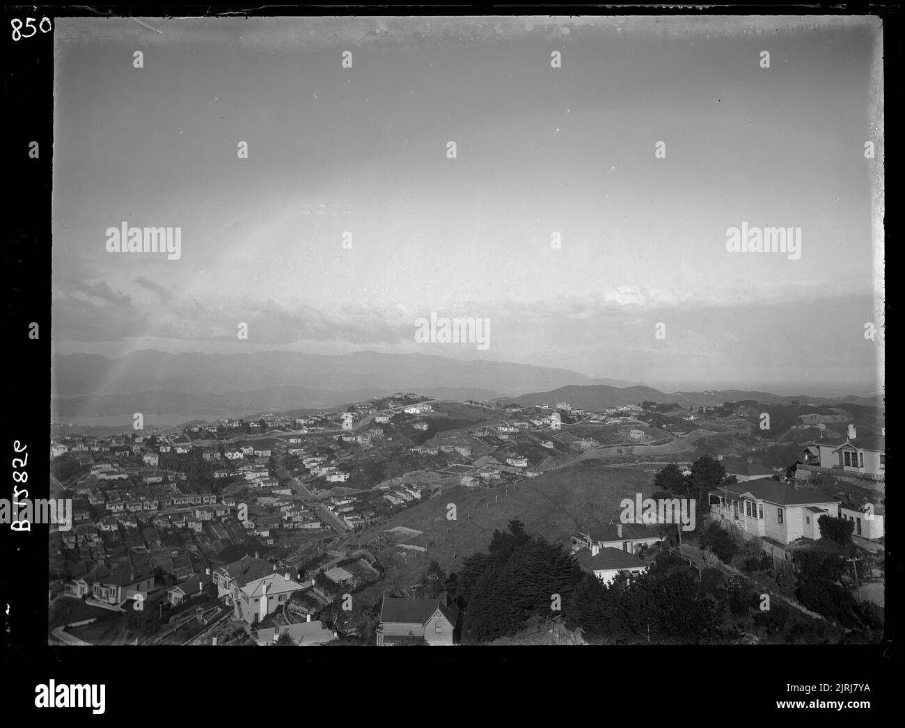 Hataitai, looking over at the Harbour, circa 1930-1940, by William Hall Raine. Stock Photo