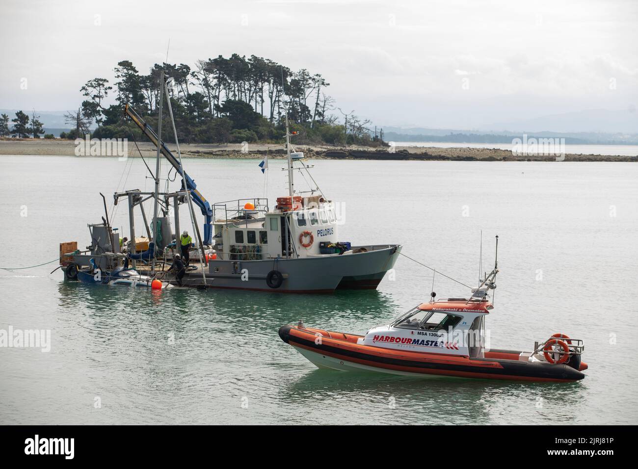 Harbourmaster's vessel, Nelson, New Zealand Stock Photo - Alamy