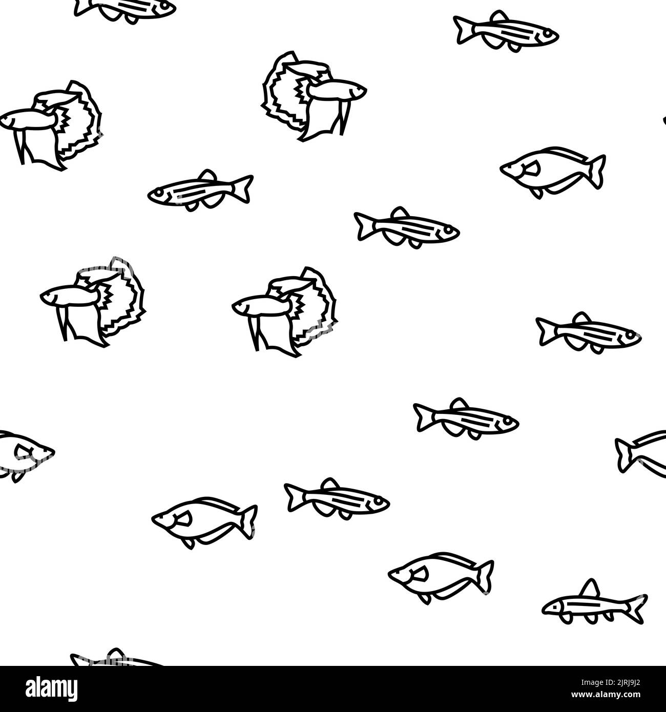 Tropical Fish Wikipedia tropical-fish-wikipedia