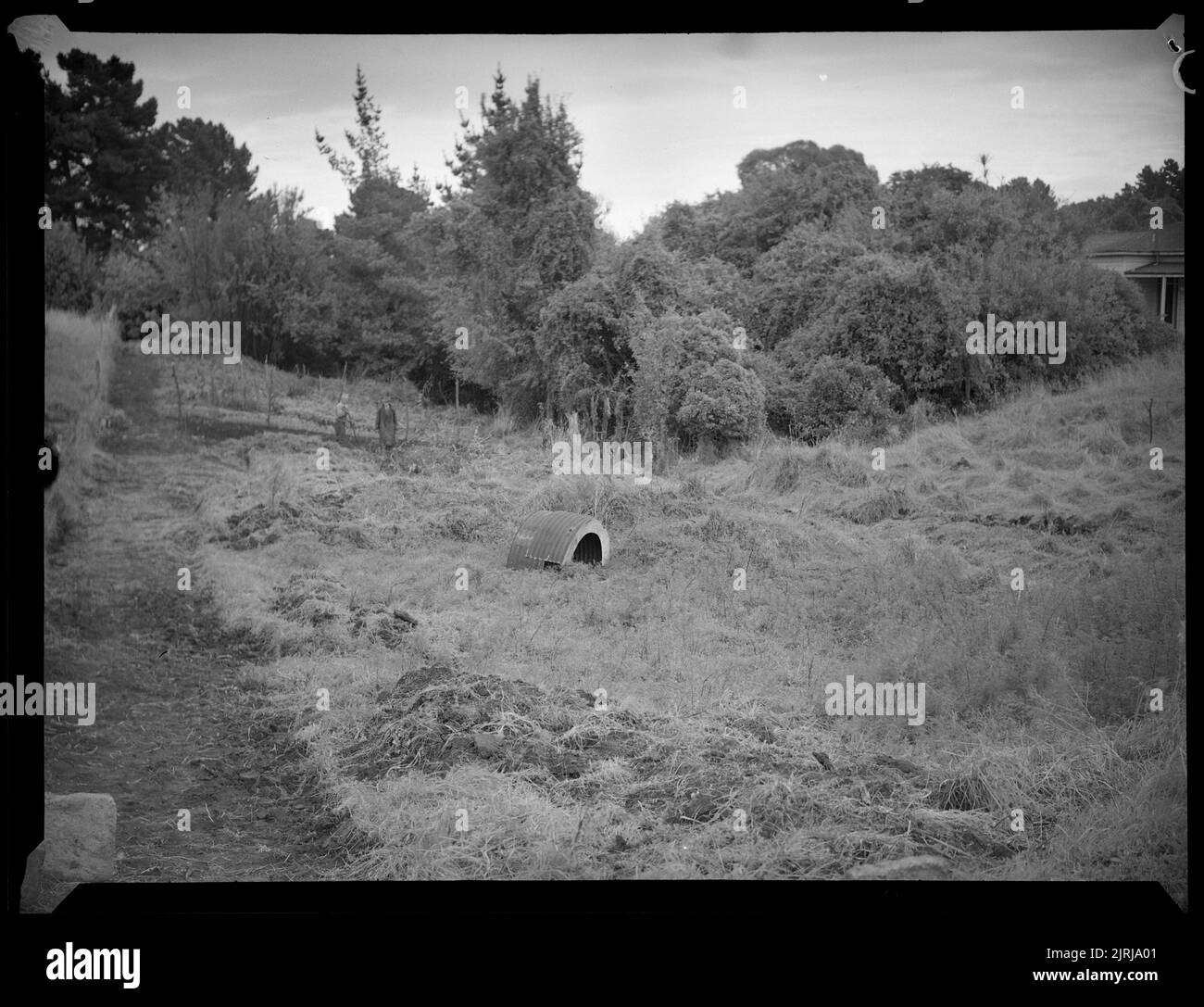 Stanley Read's section, Wanganui, 1940s, North Island, by J.W. Chapman