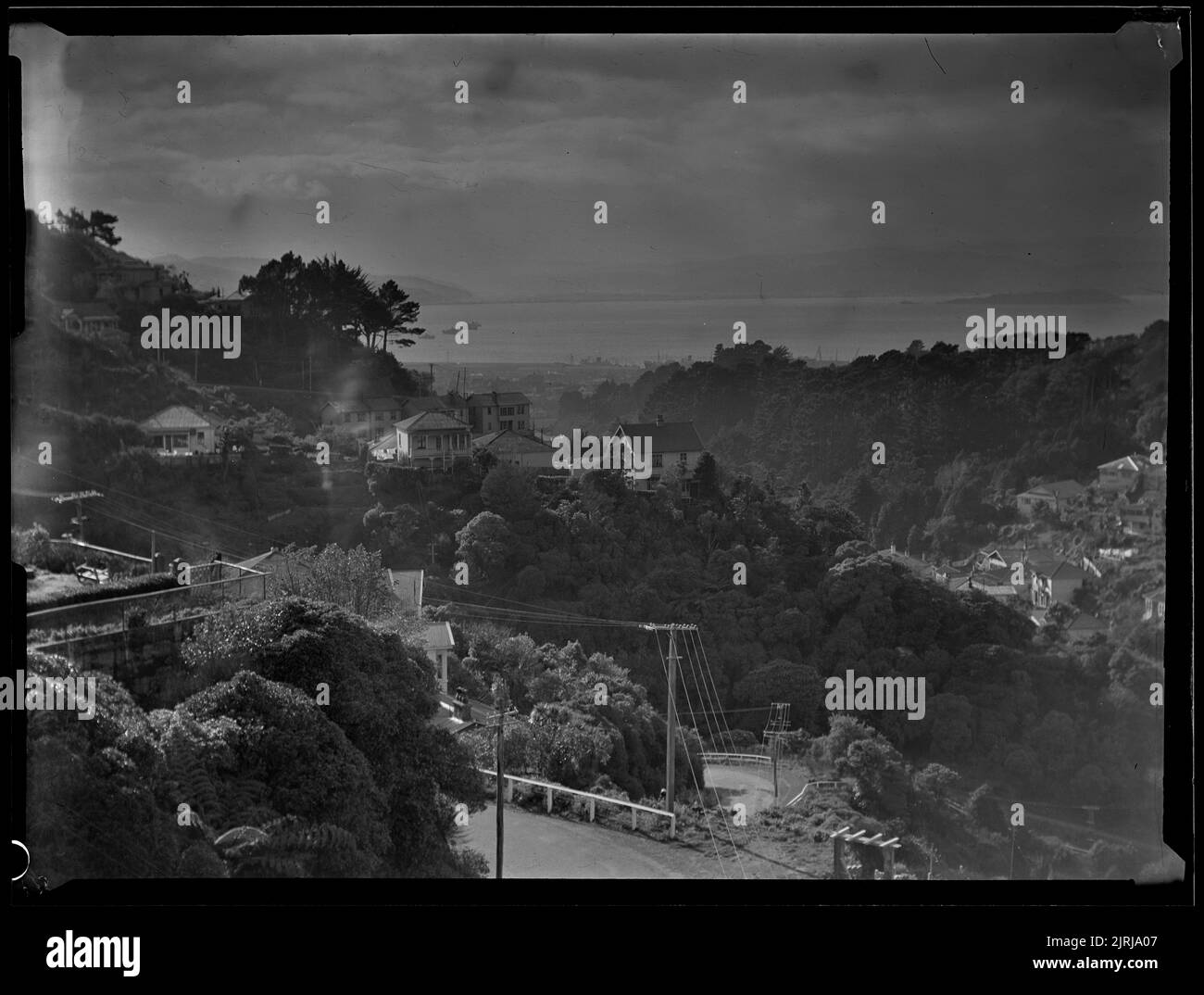 View from house, Northland, Wellington, 1940s, Wellington, by J.W