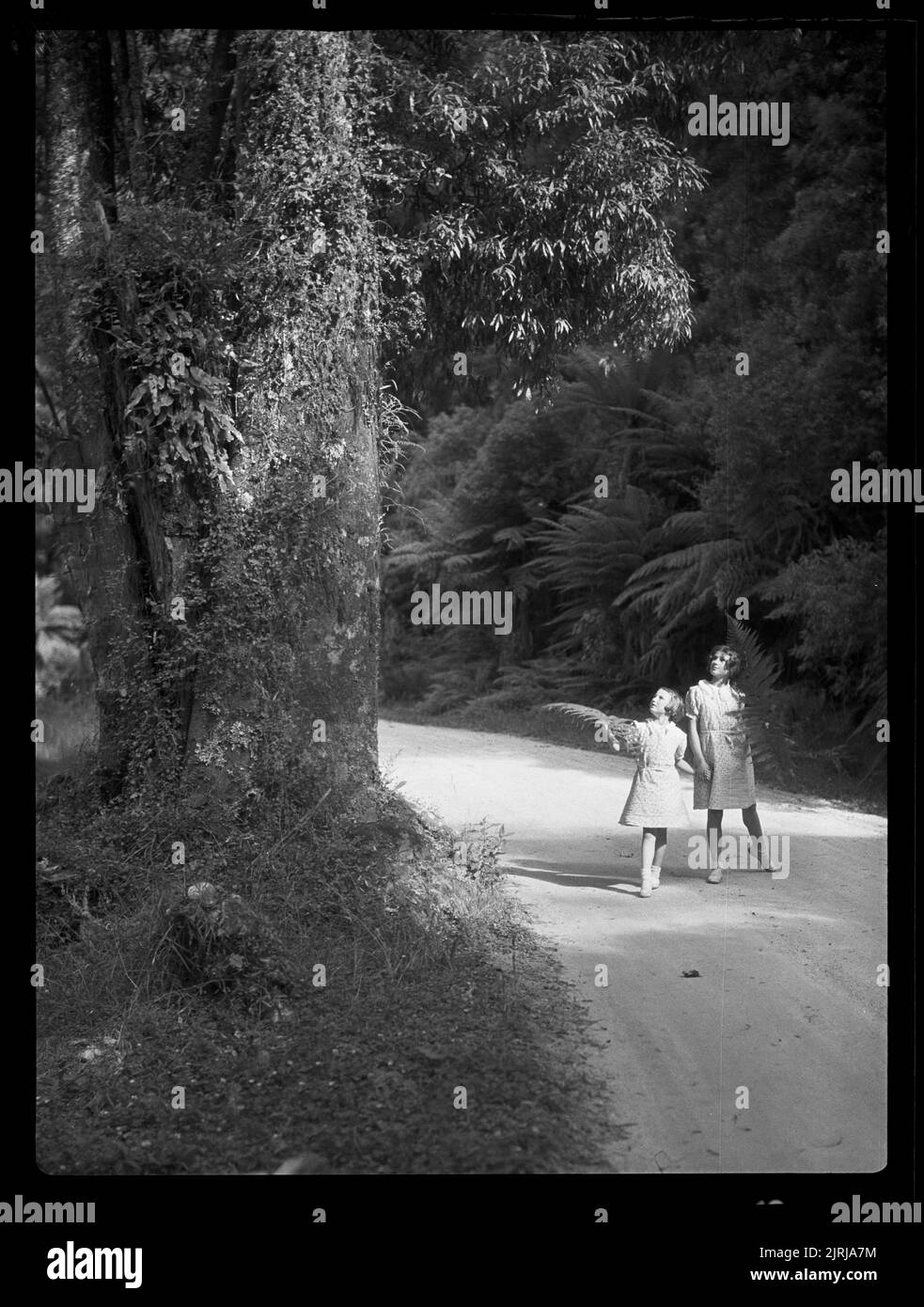 hongis-track-hi-res-stock-photography-and-images-alamy