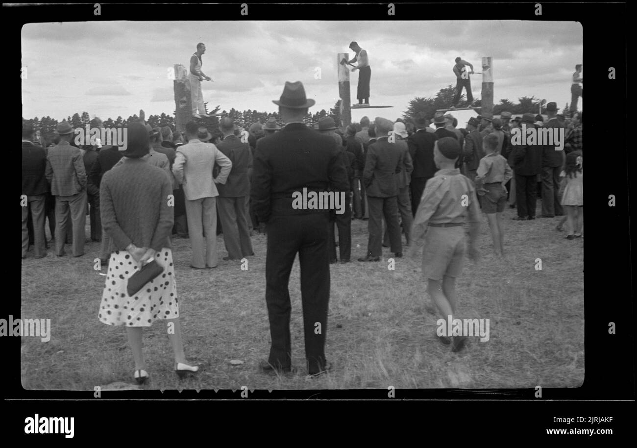 Woodchopping competition, Taupo, 1938, Bay of Plenty, by J.W. Chapman-Taylor. Stock Photo