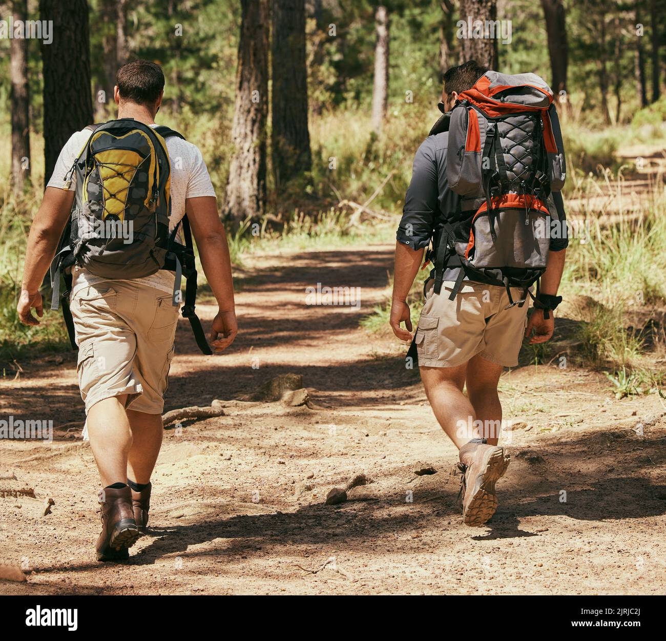 Backpacker friends explore nature while hiking in a forest together, being active and bonding
