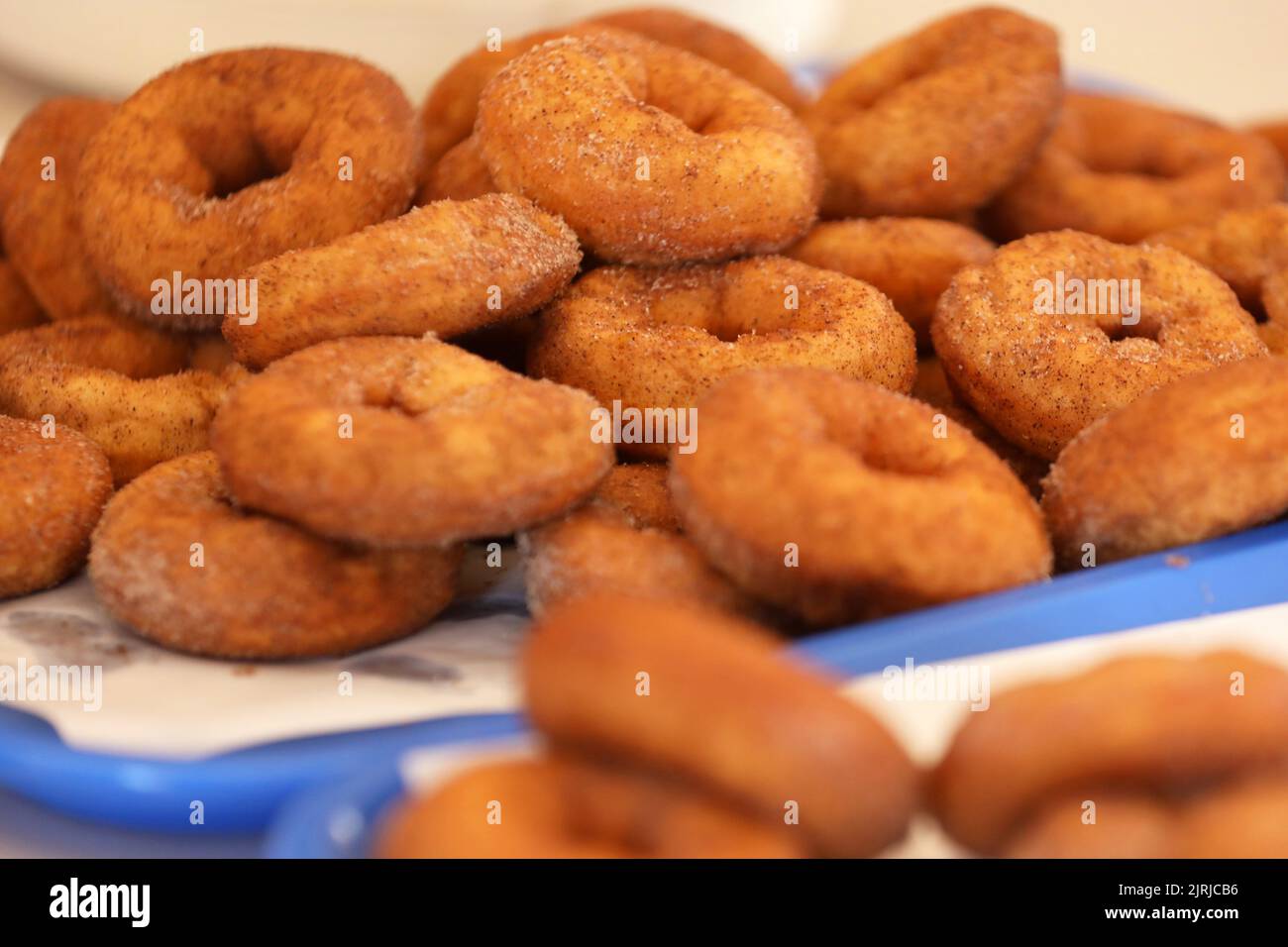A number of plain fresh golden fried cinnamon sugar doughnuts or donuts stacked on a blue tray and baking paper Stock Photo