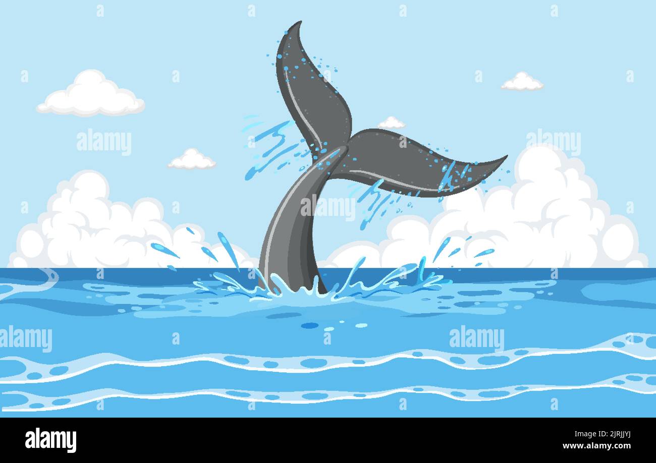 A tail of a whale in the water illustration Stock Vector Image & Art ...