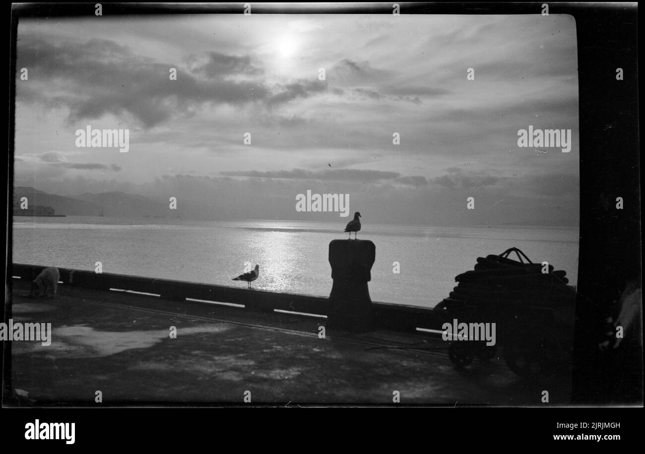 [Wellington harbour], 1920s-1930s, Wellington, by Roland Searle. Stock Photo